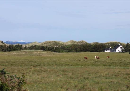 Image 28