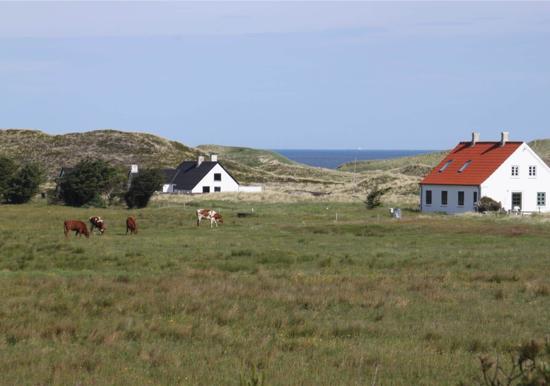 Image 31