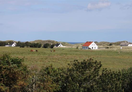 Image 32