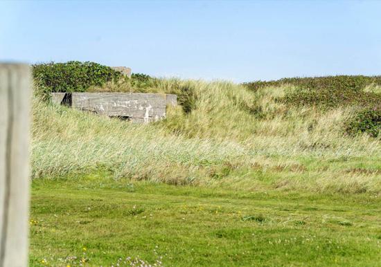 Image 16