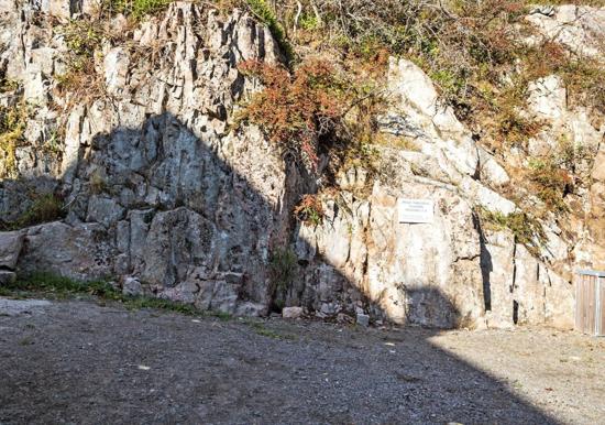 Image 15