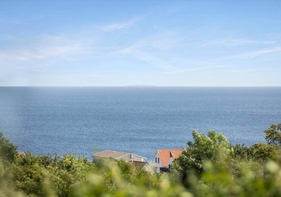 Image 14