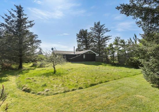 Image 25