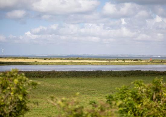 Image 28