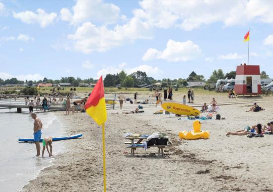 Image 31