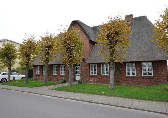 Image 15