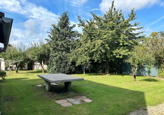 Image 23
