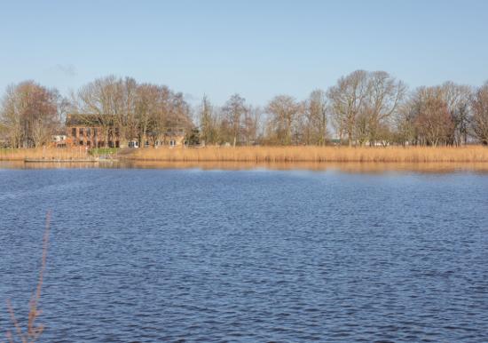 Image 26