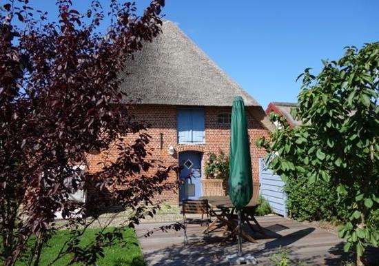 Image 23