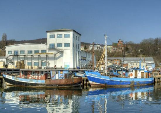 Image 12