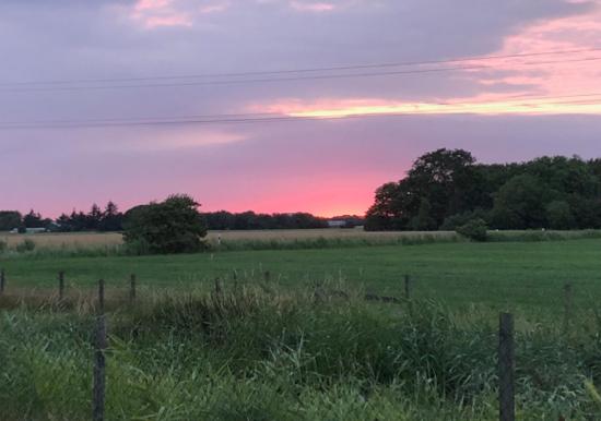 Image 22