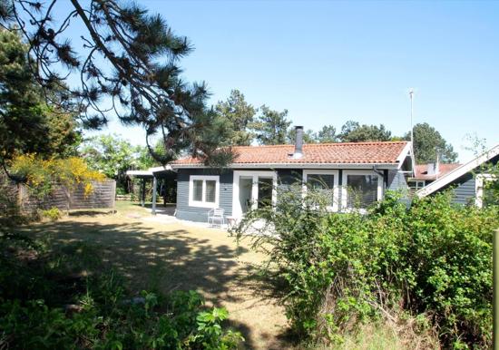 Image 21