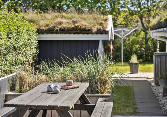 Image 16