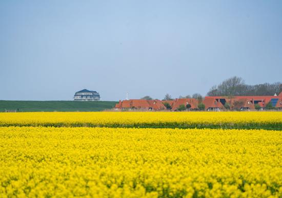Image 39