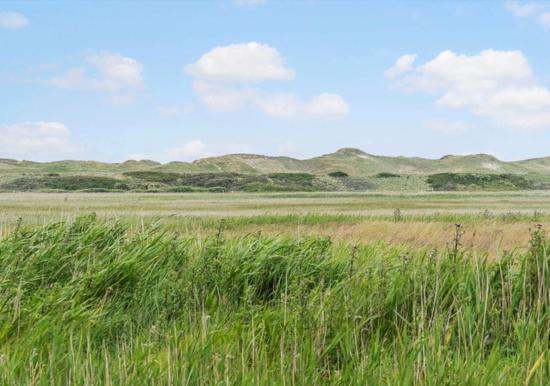 Image 29