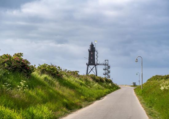 Image 35