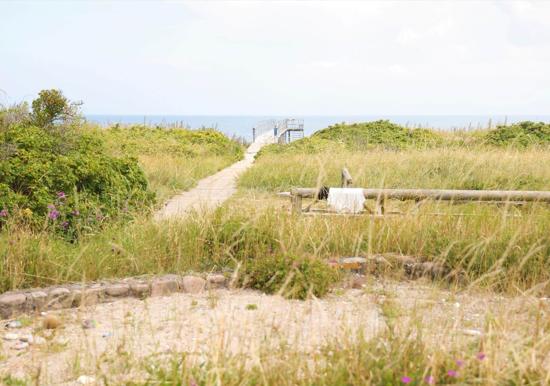 Image 15