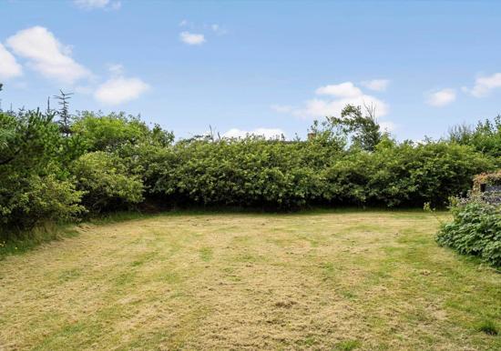 Image 27