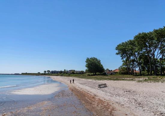 Image 21