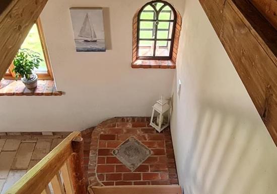 Image 19