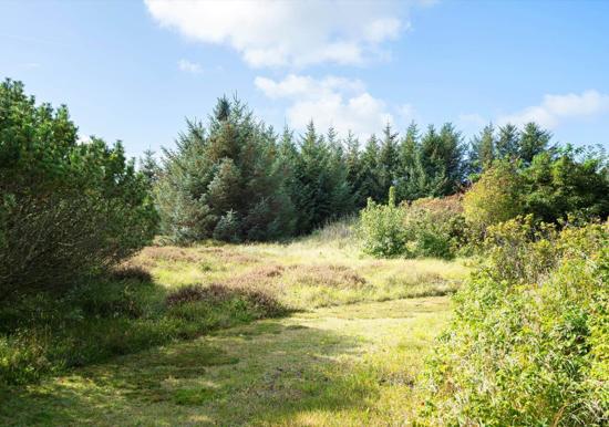 Image 29