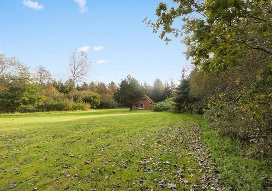 Image 23