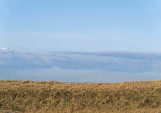 Image 29