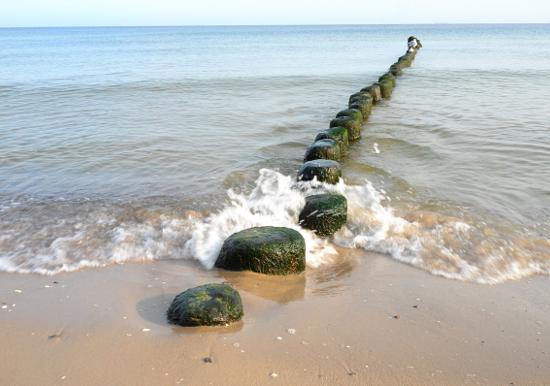 Image 18