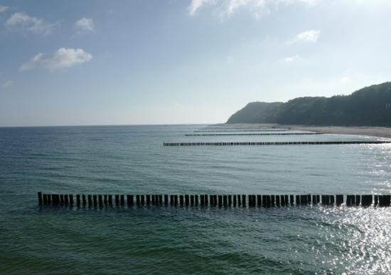 Image 17