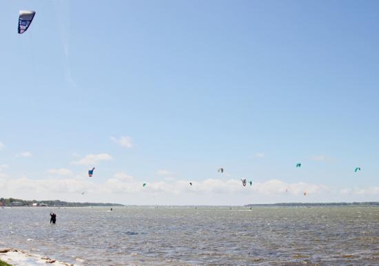 Image 38