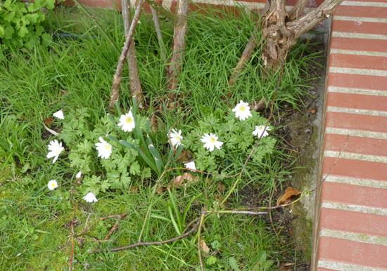 Image 16