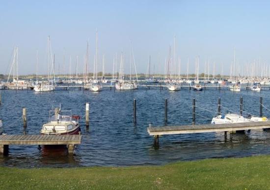 Image 10