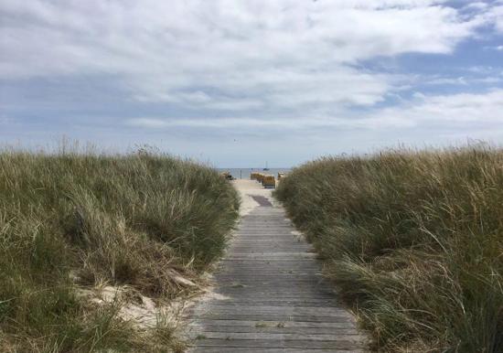 Image 18