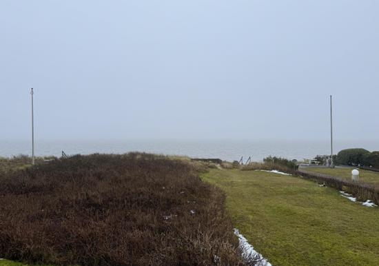 Image 14