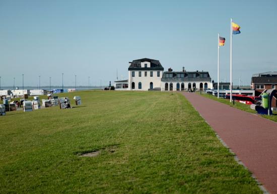 Image 19