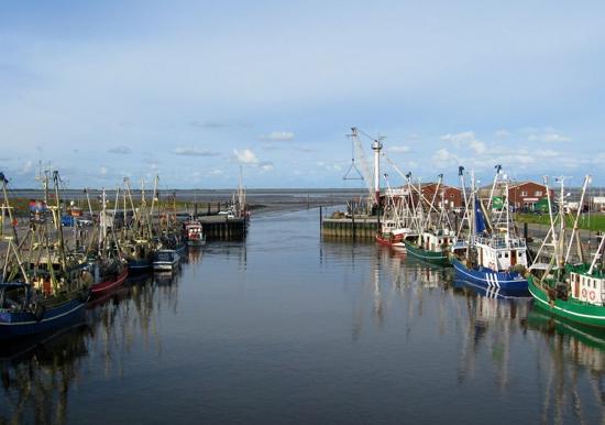 Image 29