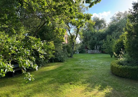 Image 21