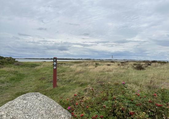 Image 33