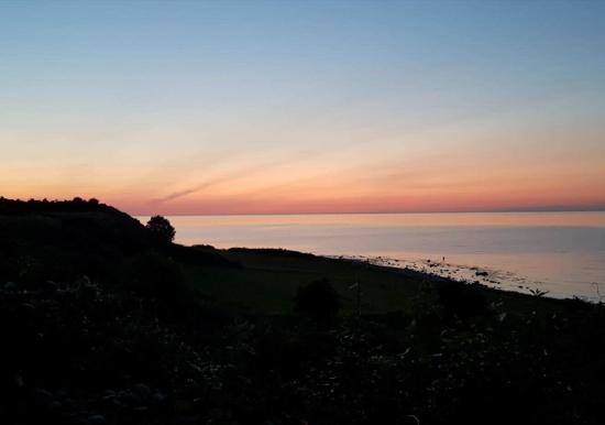 Image 29