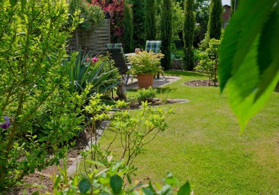 Image 22