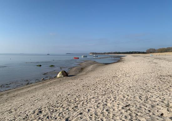 Image 15