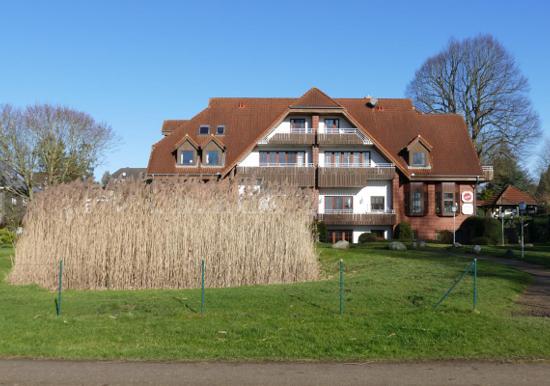 Image 19
