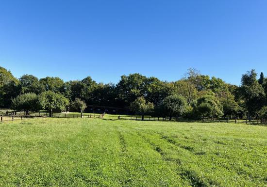 Image 31