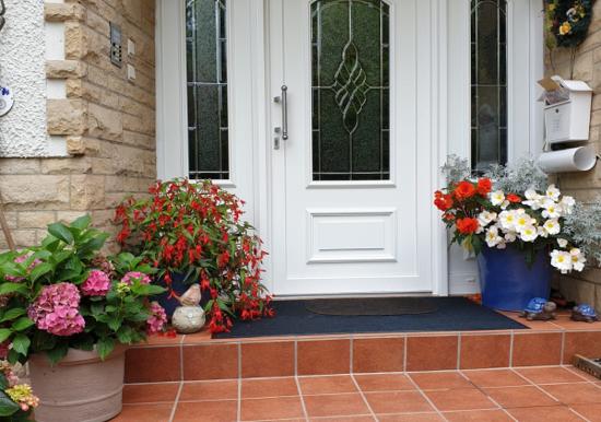 Image 13