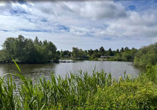 Image 31