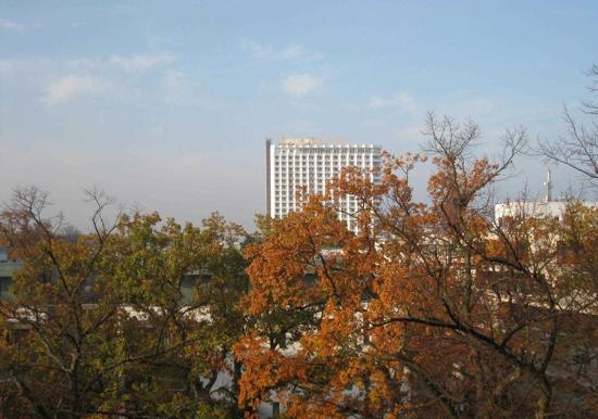 Image 11