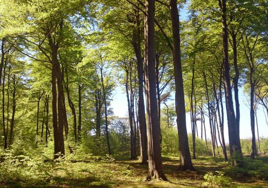 Image 14