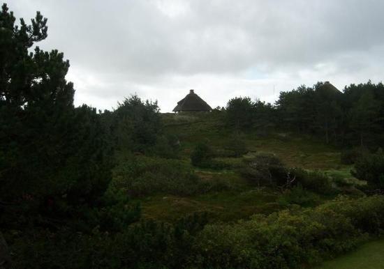 Image 10