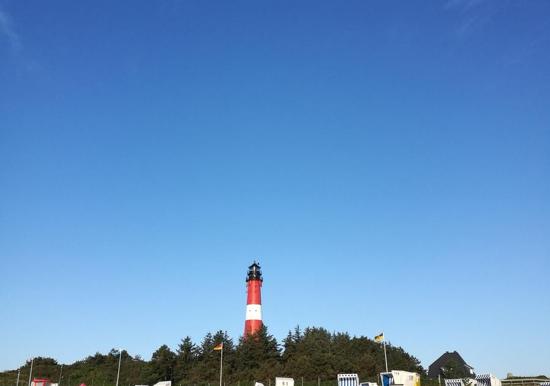 Image 22