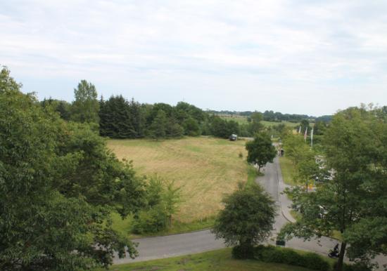 Image 11